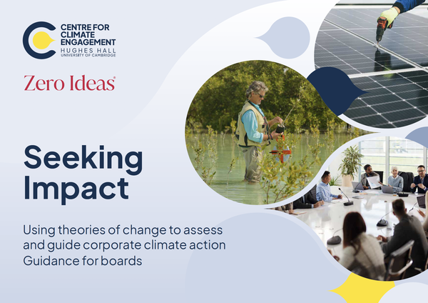 Leadership Insight: Theories of change for corporate climate action